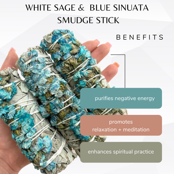 White Sage + Blue Sinuata Smudge Stick